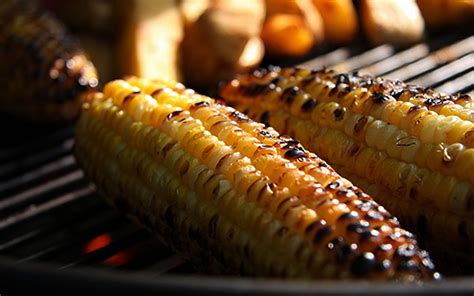 Exploring the Diverse Selection of Grilled Maize Recipes Worldwide