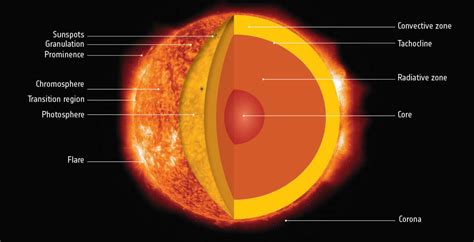 Exploring the Early Life and Rise to Prominence of a Rising Star