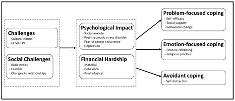 Exploring the Emotional Impact and Coping Mechanisms