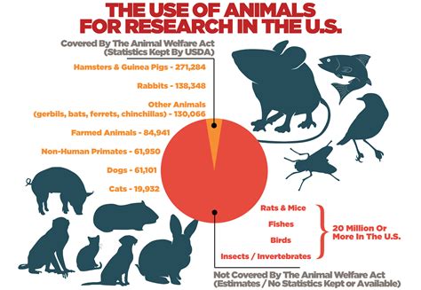 Exploring the Emotional Impact of Dreams Involving the Harm of Animals