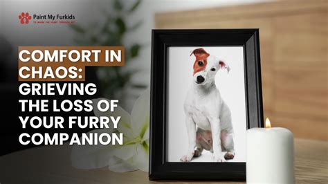 Exploring the Emotional Impact of Losing a Furry Companion in a Dream