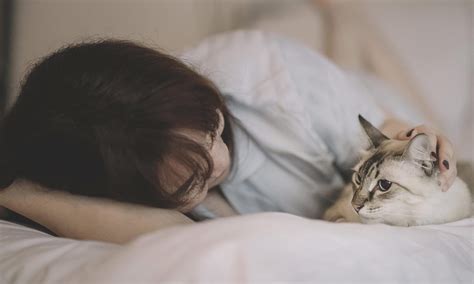 Exploring the Emotional Impact of Saying Farewell to a Beloved Feline Companion in Dreams