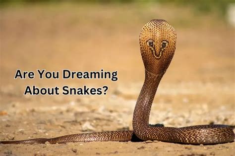 Exploring the Emotional Response to Snake Dreams and its Significance