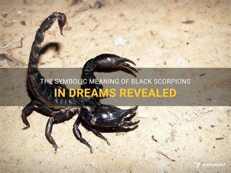 Exploring the Emotional Significance of Encountering Scorpions in Your Dreams