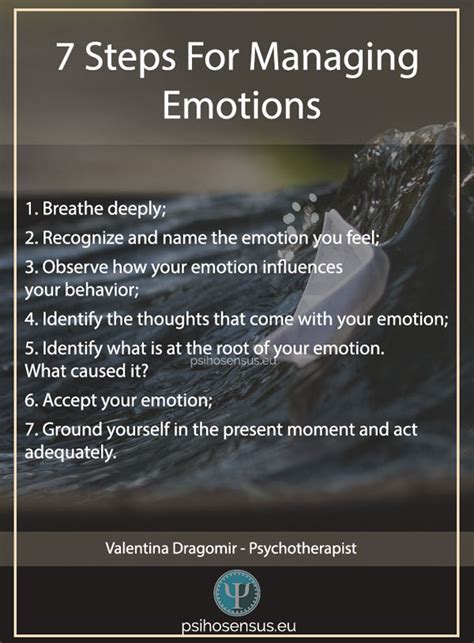 Exploring the Emotions: Managing Apprehension and Distress following a Vision of Your Companion Animal being Taken