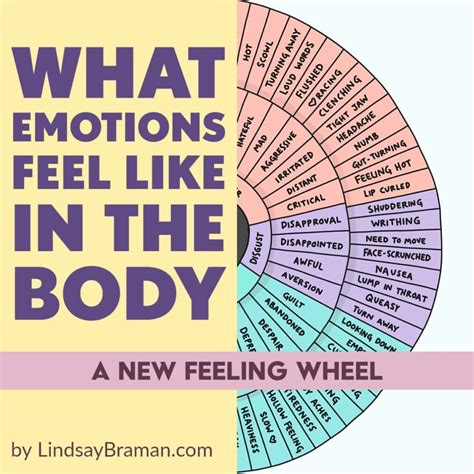 Exploring the Emotions and Sensations