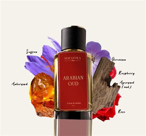 Exploring the Enchanting Components of Dream Perfumes: An Insight into the Alluring Aromas