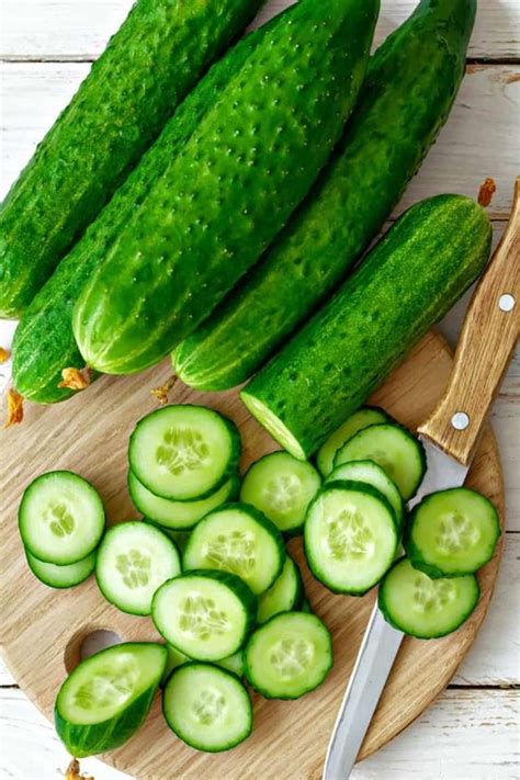 Exploring the Enchanting Realm of Cucumber Harvest: Embarking on a Journey Across the Ages