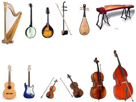 Exploring the Enchanting World of Stringed Instruments