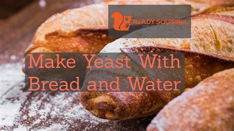 Exploring the Enigma of Yeast: Proven Strategies for Successful Bread Making