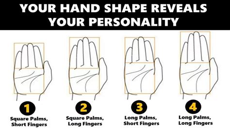 Exploring the Enigmatic Connection Between Hand Shapes and Personality Traits