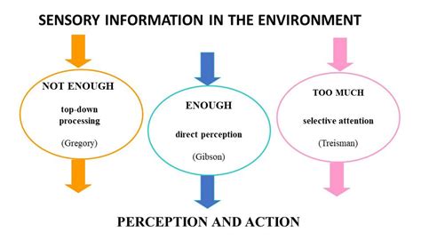 Exploring the Evolutionary Purpose of Visual Perception in Dreams