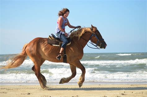 Exploring the Fascinating Experience of Equine Water Adventures