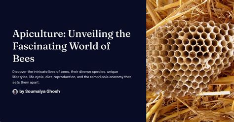 Exploring the Fascinating World of Apiculture