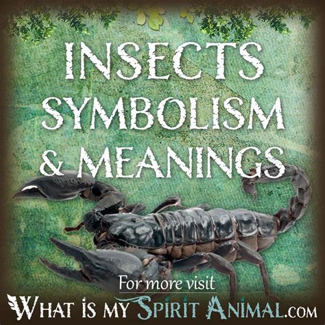 Exploring the Fascinating World of Insects and Their Symbolic Representation