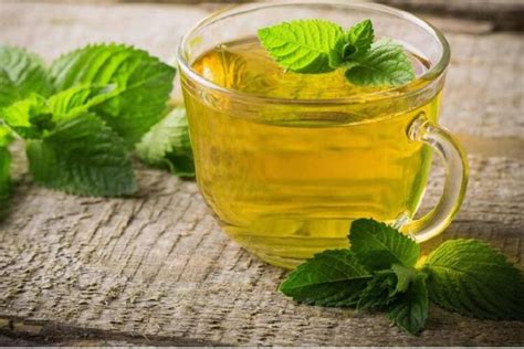 Exploring the Flavors of Peppermint Tea: From Refreshing Mint to Zesty Citrus