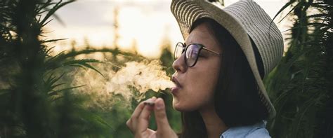 Exploring the Future of Cannabis Tourism: A Glimpse into the World of Recreational Marijuana Experiences