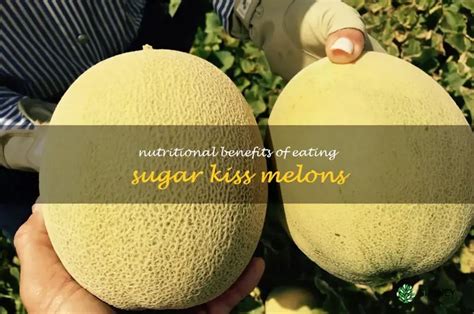 Exploring the Health Benefits of Melons: Nutritional Powerhouses