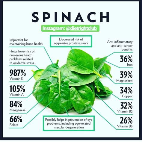 Exploring the Health Benefits of Spinach