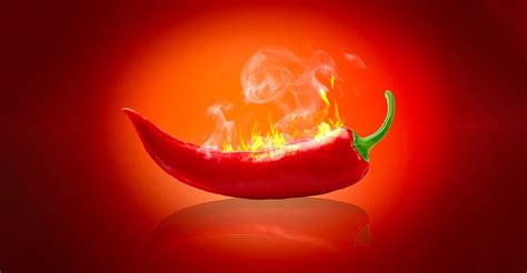 Exploring the Heat: The Science Behind Spicy Chillies