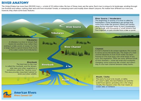 Exploring the Hidden Meanings of Flowing Streams: Decoding the Significance of Water’s Descent