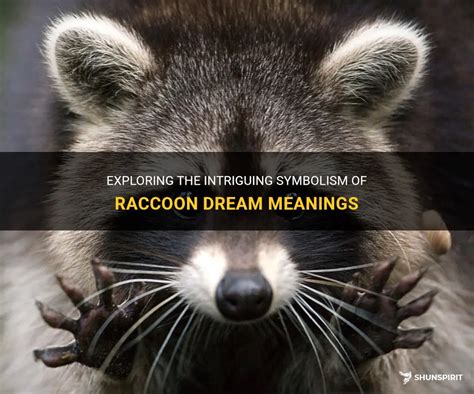 Exploring the Hidden Meanings of Raccoons in Dreams