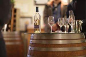 Exploring the Historical Significance of Viniculture