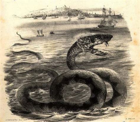 Exploring the Historical and Cultural Perceptions of Serpents and their Venom