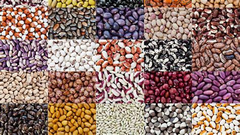 Exploring the Impact of Crimson Legumes in Diverse Expressions