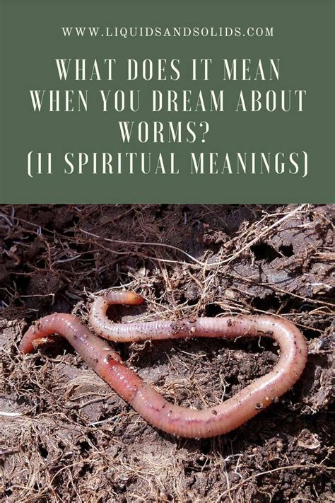 Exploring the Impact of Emotions in Dreams Featuring Worms Infesting Clothing