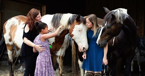 Exploring the Impact of Equine Therapy on Human Communication Skills