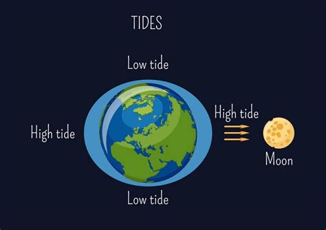 Exploring the Impact of Multiple Moons on Tides and Earth's Ecosystem