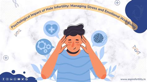 Exploring the Impact of Stress and Emotional Well-being on Male Fertility