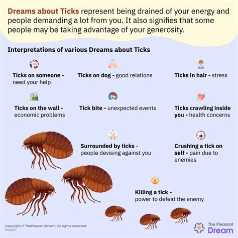 Exploring the Importance of Ticks in Dreams