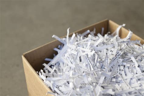 Exploring the Influence of Shredded Documents in the Digital Era: Fostering Imagination in a Virtual Sphere