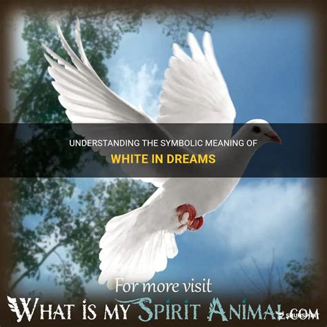 Exploring the Interpretation of White in Dream Psychology