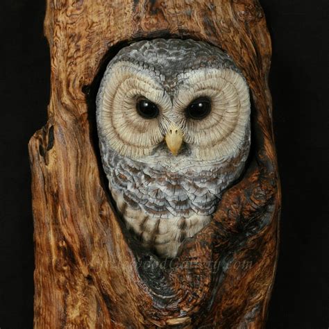 Exploring the Intricate Carvings and Engravings on the Majestic Owl Arboreal