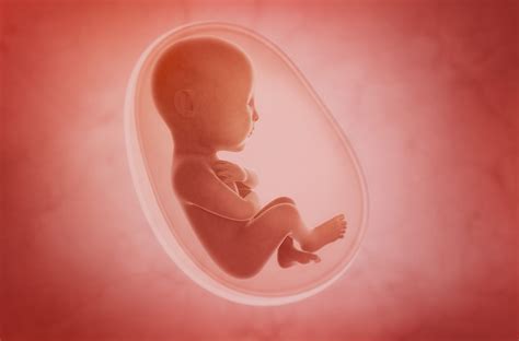 Exploring the Intricate Meanings in Dreams of Identical Fetuses