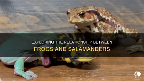 Exploring the Intricate Relationship between Dreams and Reptiles: Lizards and Frogs