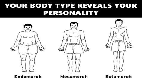 Exploring the Intriguing Height and Body Shape of the Enigmatic Personality