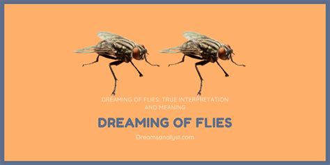 Exploring the Intriguing Realm of Fly Dreams