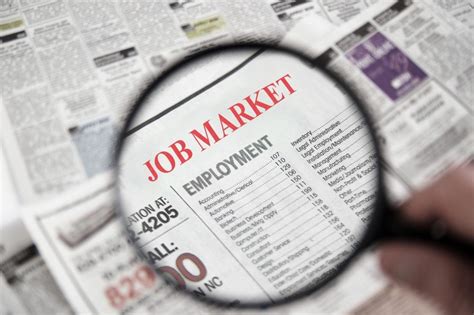 Exploring the Job Market and Employment Opportunities