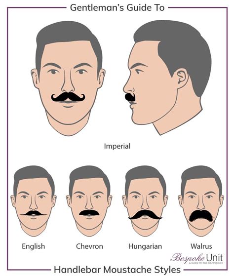 Exploring the Link Between Mustache Styles and Personality Traits