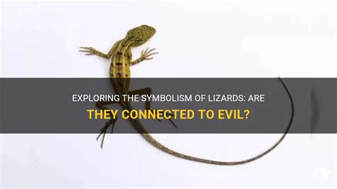 Exploring the Lizard as a Symbol of Transformation