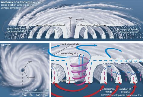 Exploring the Magnitude and Potency of Aquatic Cyclones