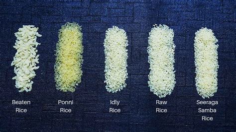 Exploring the Many Varieties of Golden Rice