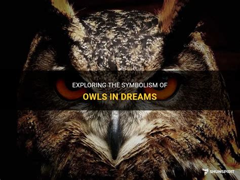 Exploring the Meaning and Significance of Owl Assaults in Dreams