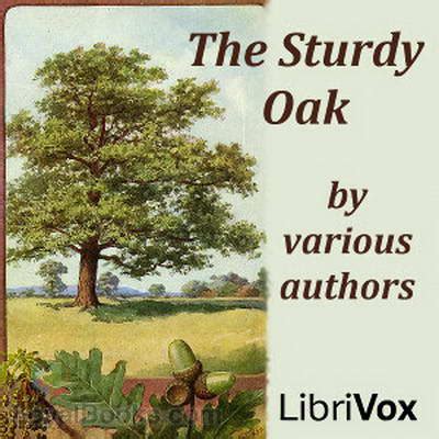 Exploring the Meaning behind the Descent of a Sturdy Oak