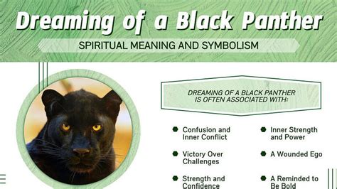 Exploring the Meaning of a Midnight Onyx Panther in Dreams