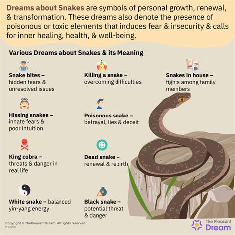 Exploring the Multiple Interpretations of Dreaming about Serpent Shadows